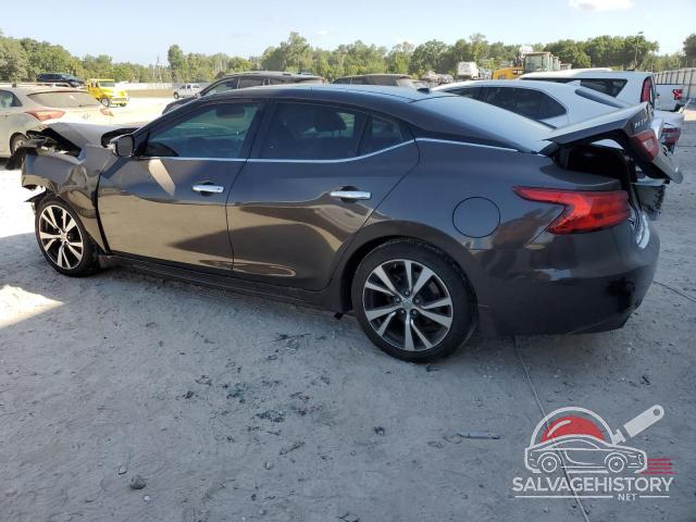 1N4AA6AP1GC394462 2016 NISSAN MAXIMA photo no. 2