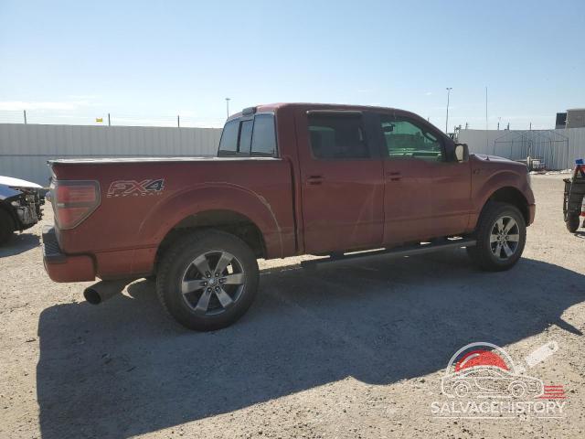 1FTFW1ET1EKD08355 2014 FORD F-150 photo no. 3