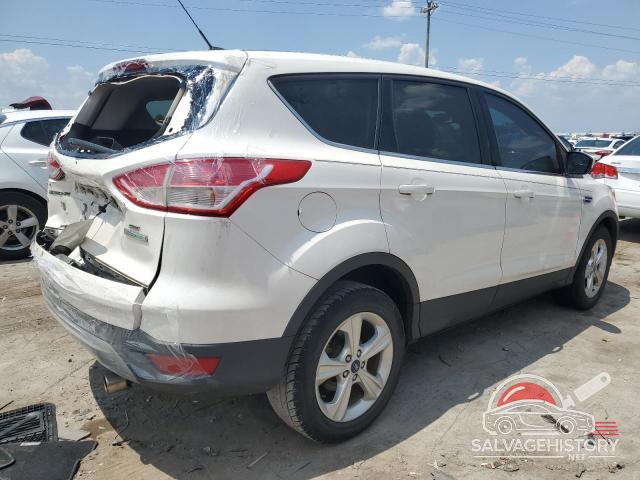 1FMCU0GX6DUD09048 2013 FORD ESCAPE photo no. 3