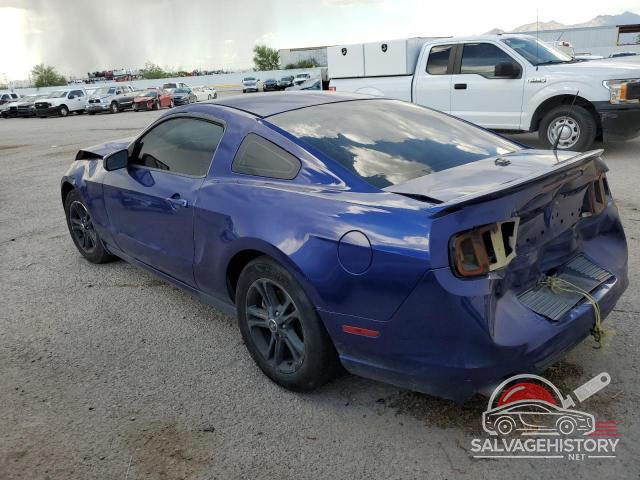 1ZVBP8AM7E5275344 2014 FORD ALL Models photo no. 2