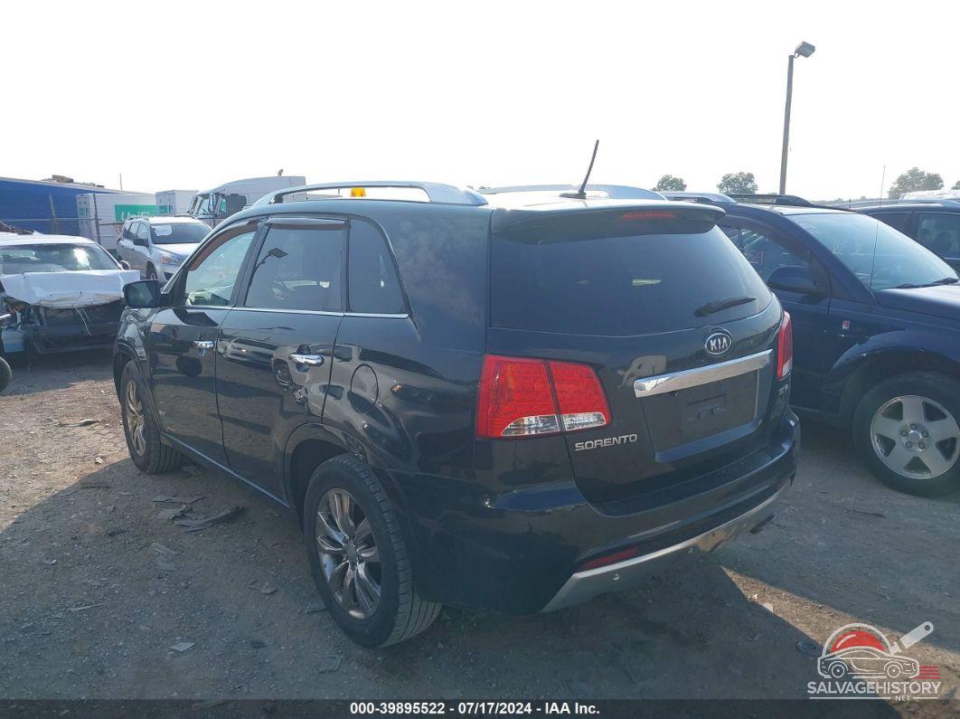 5XYKWDA20BG136303 2011 KIA SORENTO photo no. 3