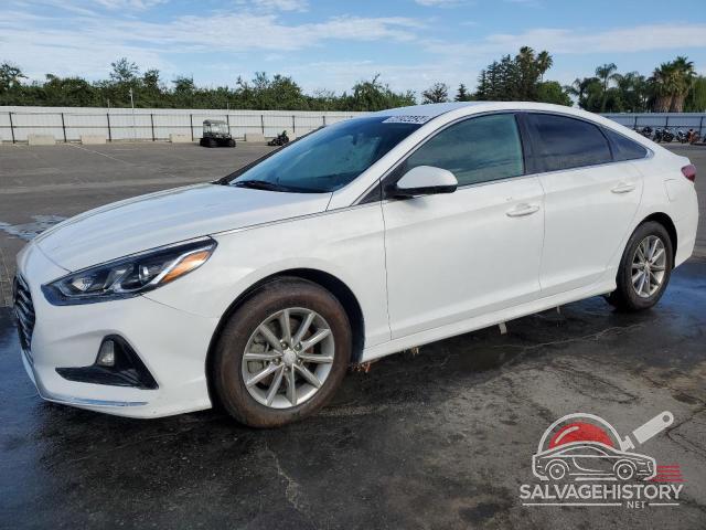 5NPE24AF3KH764070 2019 HYUNDAI SONATA photo no. 3
