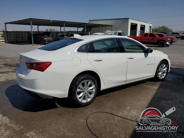1G1ZD5ST4RF126879 2024 CHEVROLET MALIBU photo no. 3