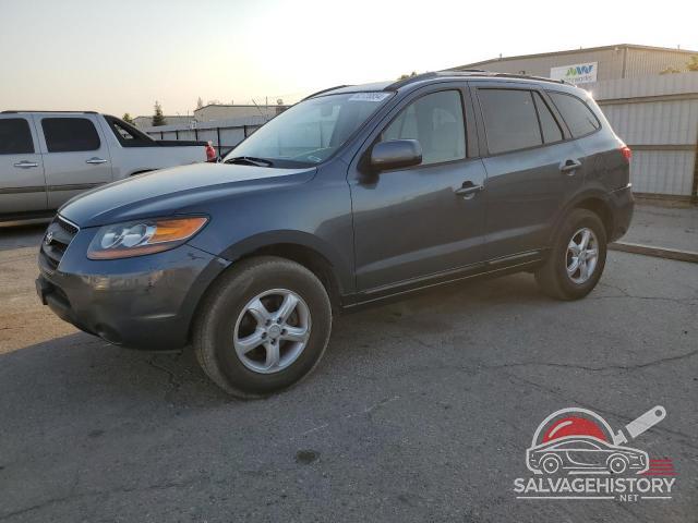 5NMSG13D87H090548 2007 HYUNDAI SANTA FE photo no. 6