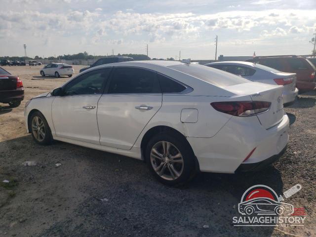 5NPE34AF1KH777705 2019 HYUNDAI SONATA photo no. 2