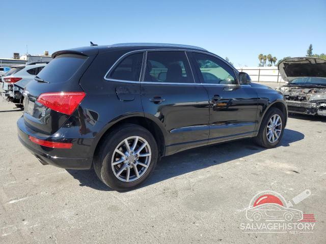 WA1LKAFP2AA095877 2010 AUDI Q5 photo no. 3