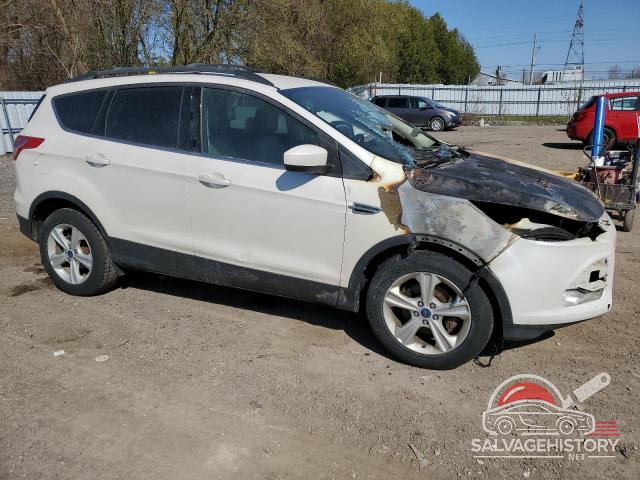 1FMCU0GX0EUC11490 2014 FORD ESCAPE photo no. 4