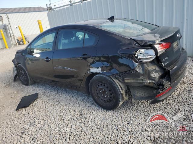 3KPFK4A71HE076692 2017 KIA FORTE photo no. 2