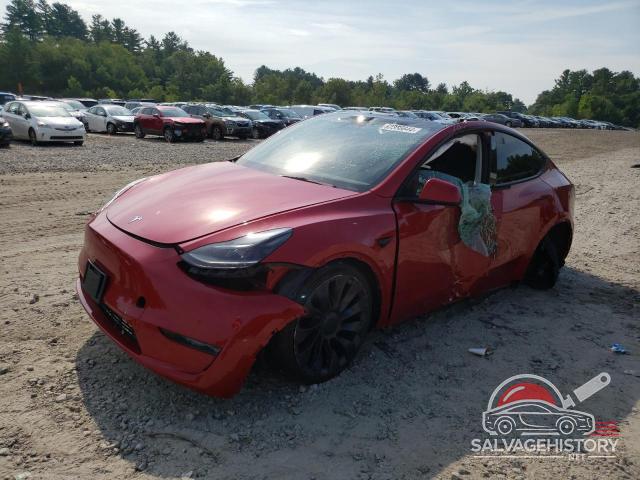 7SAYGDEF6NF340641 2022 TESLA MODEL Y photo no. 12