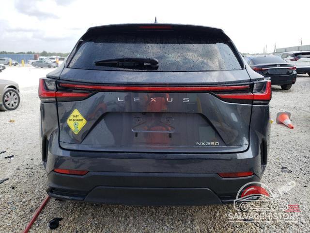 2T2ADCAZ2RC00629X 2024 LEXUS NX 250 BAS photo no. 6