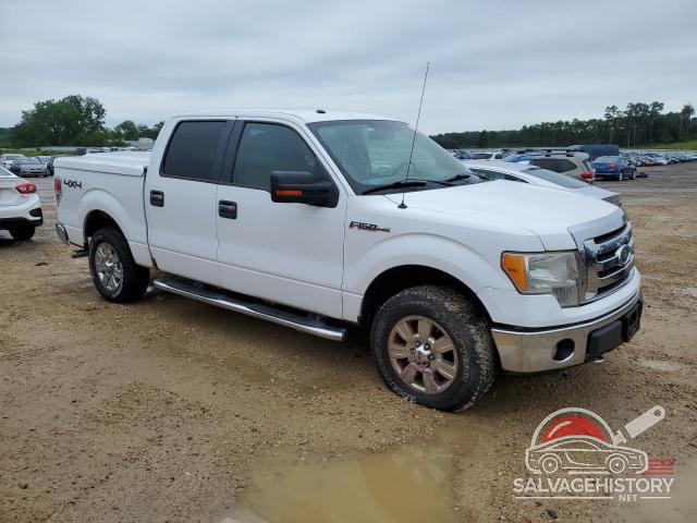 1FTFW1EV2AFD30806 2010 FORD F-150 photo no. 4