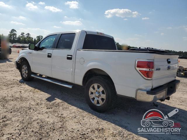 1FTFW1CV3AFD87597 2010 FORD F-150 photo no. 2