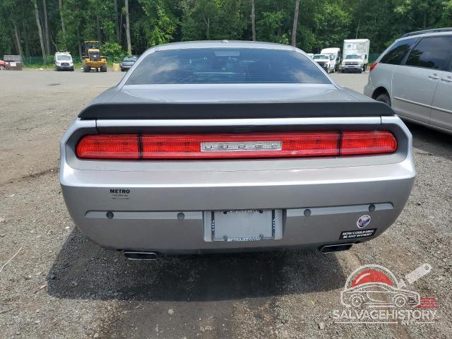 2C3CDYAG7DH708683 2013 DODGE CHALLENGER photo no. 6