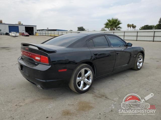 2C3CDXCT7DH502249 2013 DODGE CHARGER photo no. 3