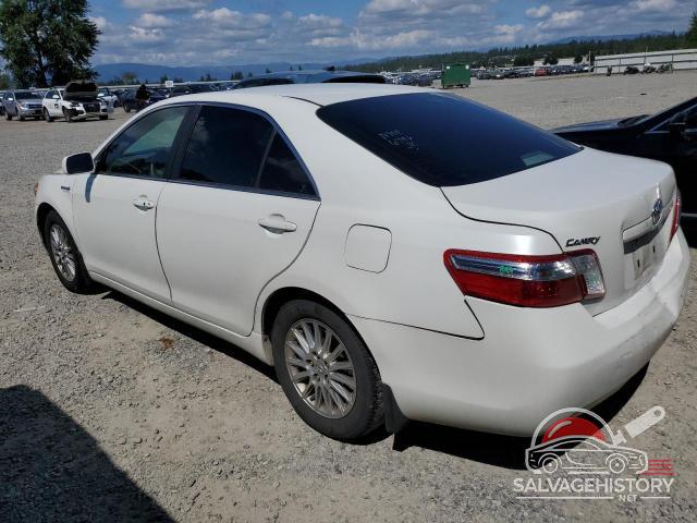 4T1BB46K27U019974 2007 TOYOTA CAMRY photo no. 2