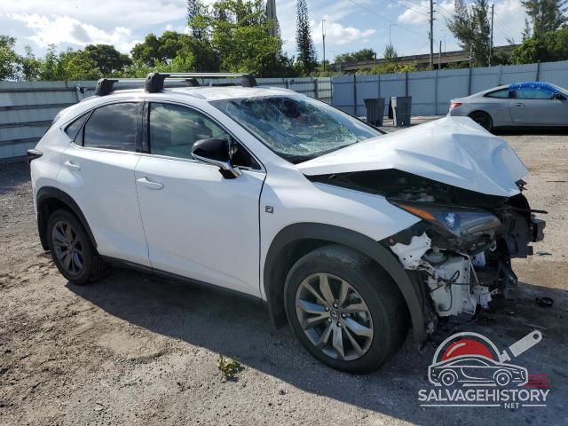JTJSARBZ0M2194722 2021 LEXUS NX photo no. 4