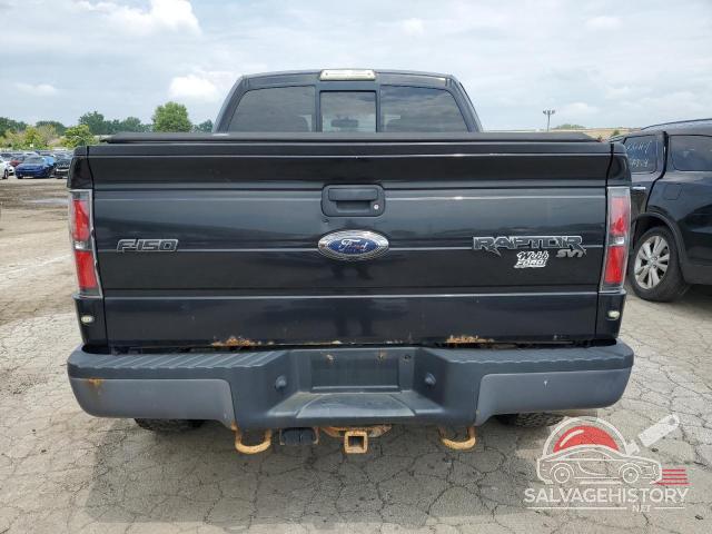 1FTEX1E69AFC95618 2010 FORD F-150 photo no. 6
