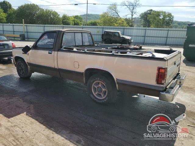 1B7GN14M7HS317924 1987 DODGE All Models photo no. 2