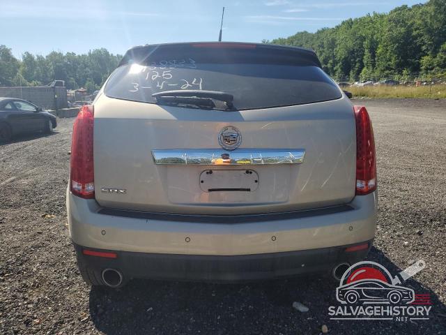 3GYFNAEYXAS579311 2010 CADILLAC SRX photo no. 6