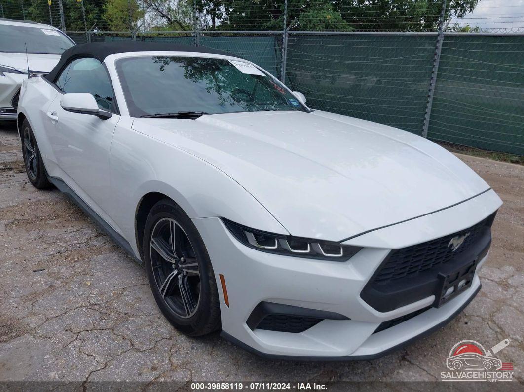 1FAGP8UH6R5105978 2024 FORD MUSTANG photo no. 1