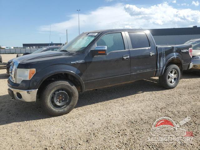 1FTFW1EV3AFC08424 2010 FORD F-150 photo no. 16