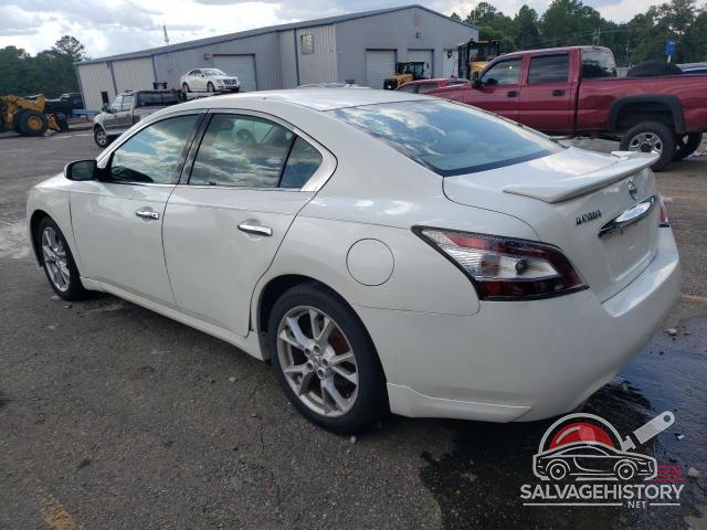 1N4AA5APXDC835740 2013 NISSAN MAXIMA photo no. 2