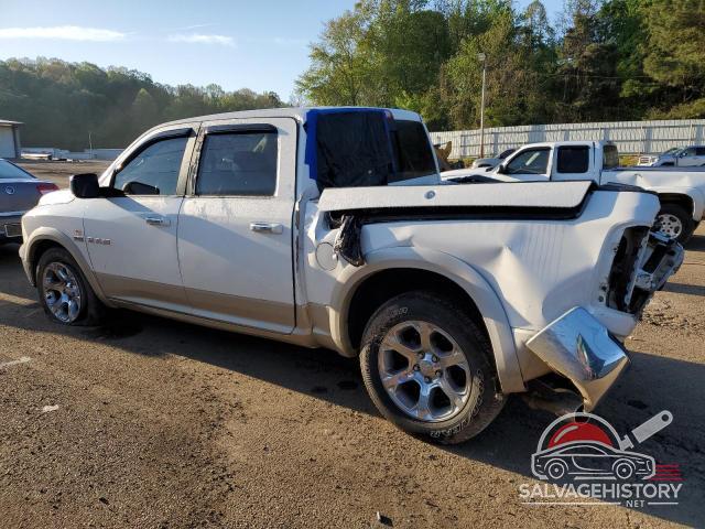 1D3HV13T89J521742 2009 DODGE All Models photo no. 2