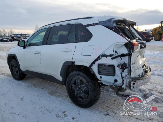2T3R1RFV7PC328261 2023 TOYOTA RAV4 photo no. 2