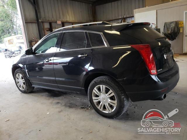 3GYFNAEY7BS675432 2011 CADILLAC SRX photo no. 2