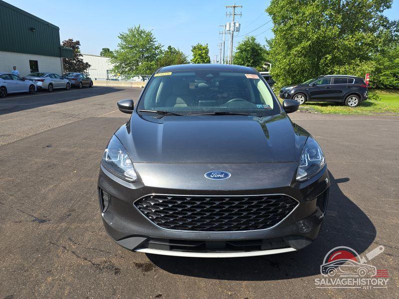 1FMCU0G64LUB14832 2020 FORD ESCAPE photo no. 7