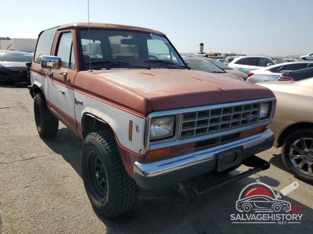 1FMCU14S4FUD40784 1985 FORD BRONCO photo no. 4