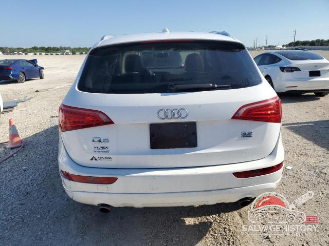 WA1LKAFP9AA091082 2010 AUDI Q5 PREMIUM photo no. 6