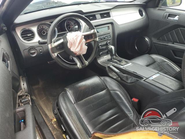 1ZVBP8AM6D5235691 2013 FORD ALL Models photo no. 8
