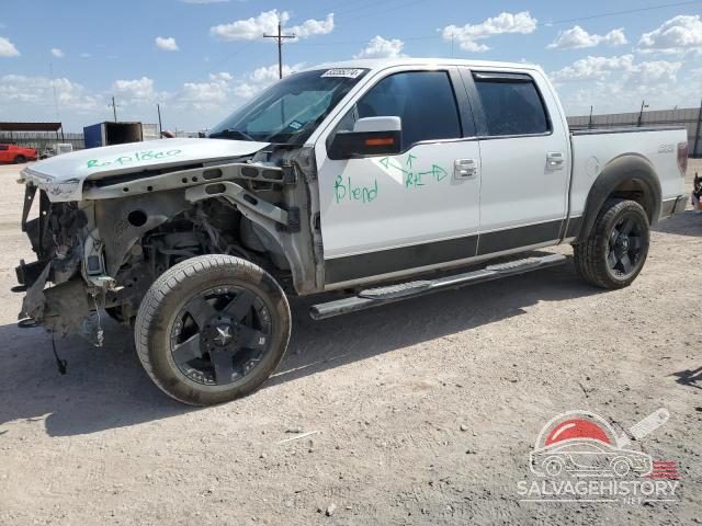 1FTFW1EV6AFA30038 2010 FORD F-150 photo no. 15