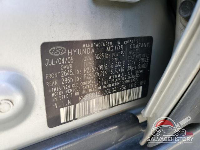 KM8SC13D76U041758 2006 HYUNDAI SANTA FE photo no. 12