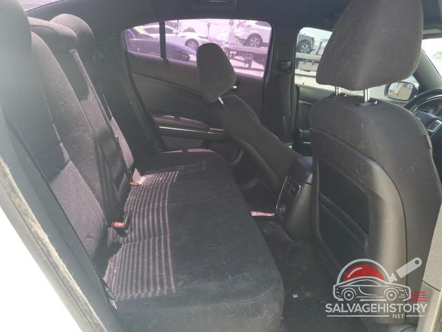 2C3CDXBG7DH636859 2013 DODGE CHARGER photo no. 10