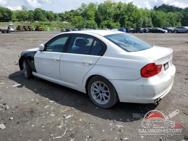 WBAPK5C50AA649058 2010 BMW 3 SERIES photo no. 2