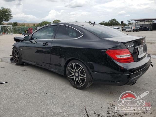 WDDGJ4HB7DG116095 2013 MERCEDES-BENZ C-CLASS photo no. 2