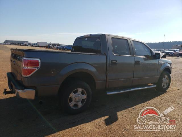 1FTEW1C84AFC31297 2010 FORD F-150 photo no. 3