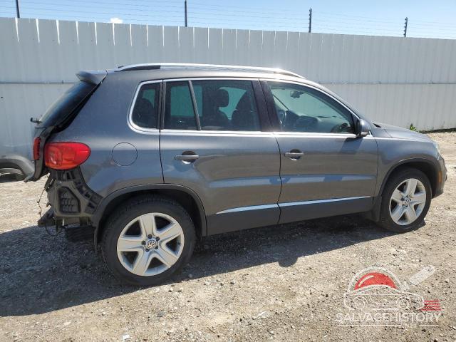 WVGJV7AX6GW027233 2016 VOLKSWAGEN TIGUAN photo no. 3