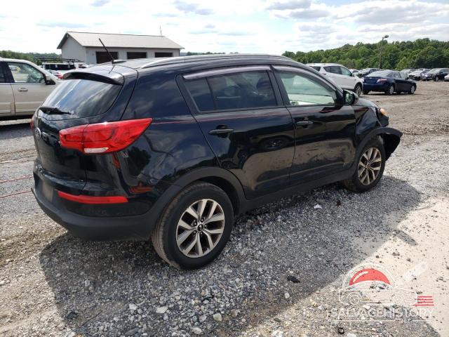 KNDPB3AC7G7811556 2016 KIA SPORTAGE photo no. 3