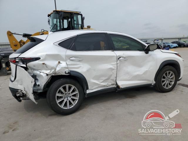 JTJYARBZ4K2155445 2019 LEXUS NX photo no. 3