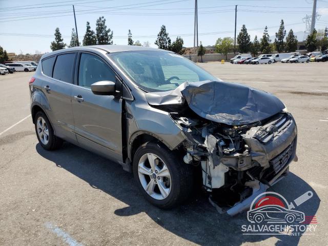 1FMCU0GX2EUE13649 2014 FORD ESCAPE photo no. 4