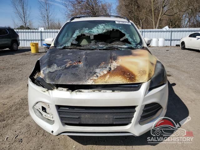 1FMCU0GX0EUC11490 2014 FORD ESCAPE photo no. 5