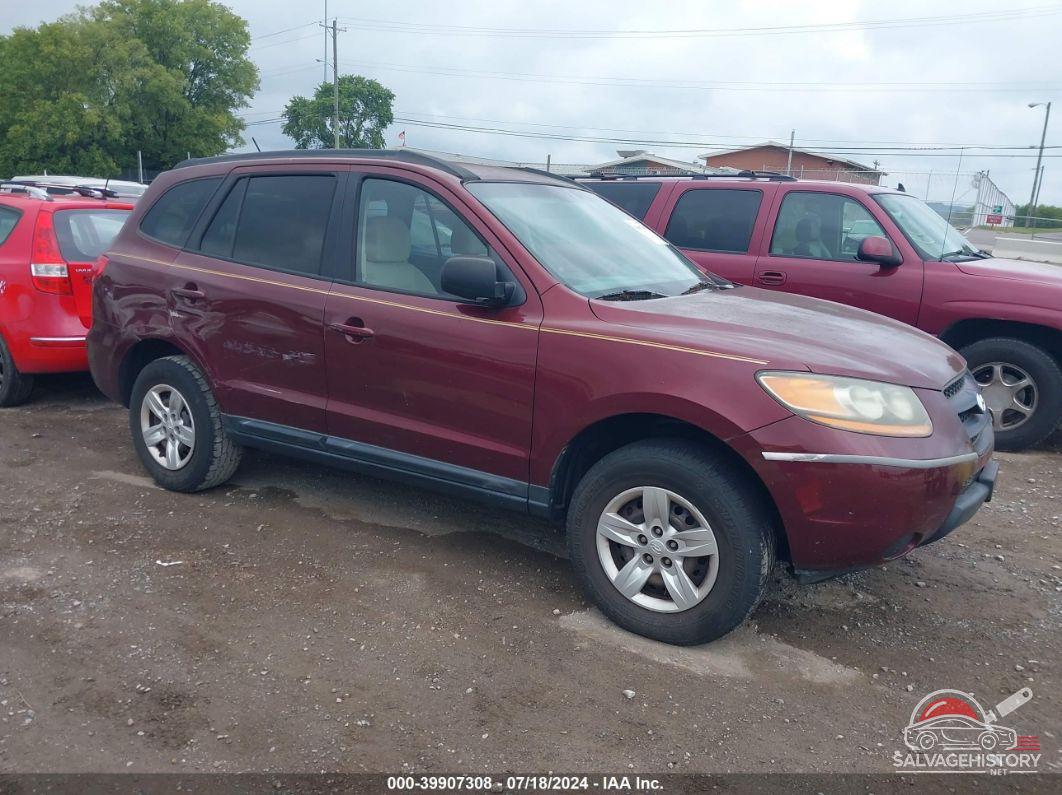 5NMSG13D89H229550 2009 HYUNDAI SANTA FE photo no. 18