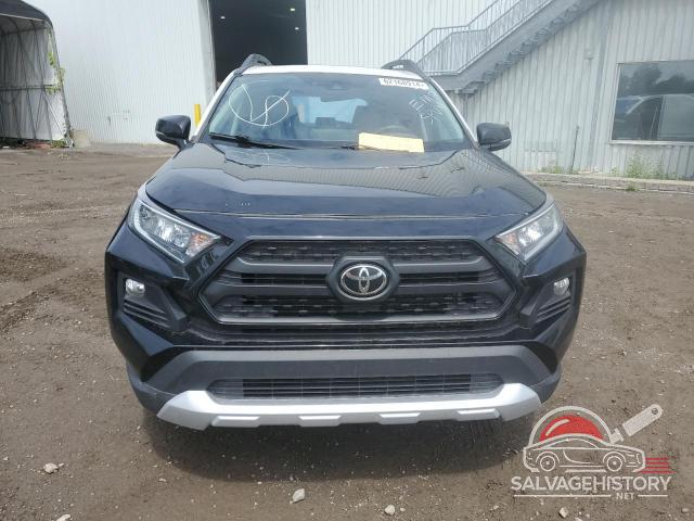 2T3J1RFV2KC033672 2019 TOYOTA RAV4 photo no. 5