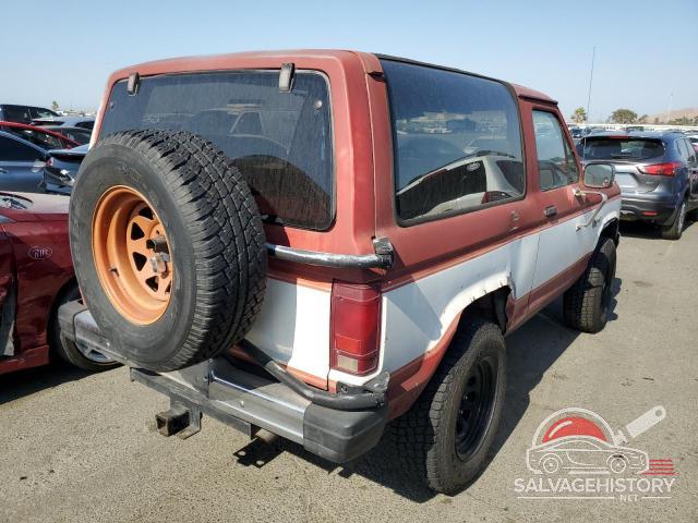 1FMCU14S4FUD40784 1985 FORD BRONCO photo no. 3