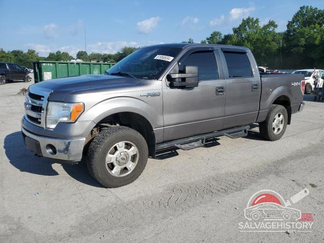 1FTFW1EF5EFC27264 2014 FORD F-150 photo no. 12