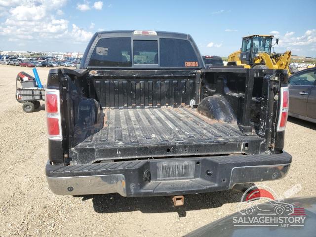 1FTFW1EV3AFC08424 2010 FORD F-150 photo no. 6