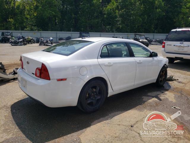 1G1ZA5EUXBF353318 2011 CHEVROLET MALIBU photo no. 3